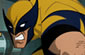 Wolverine Kaçıyor