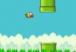 Flappy Birds